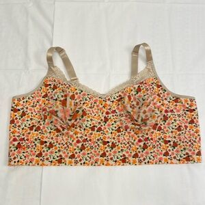 NWOT Ruby Ribbon 48 Autumn Meadow Demi Shapeware